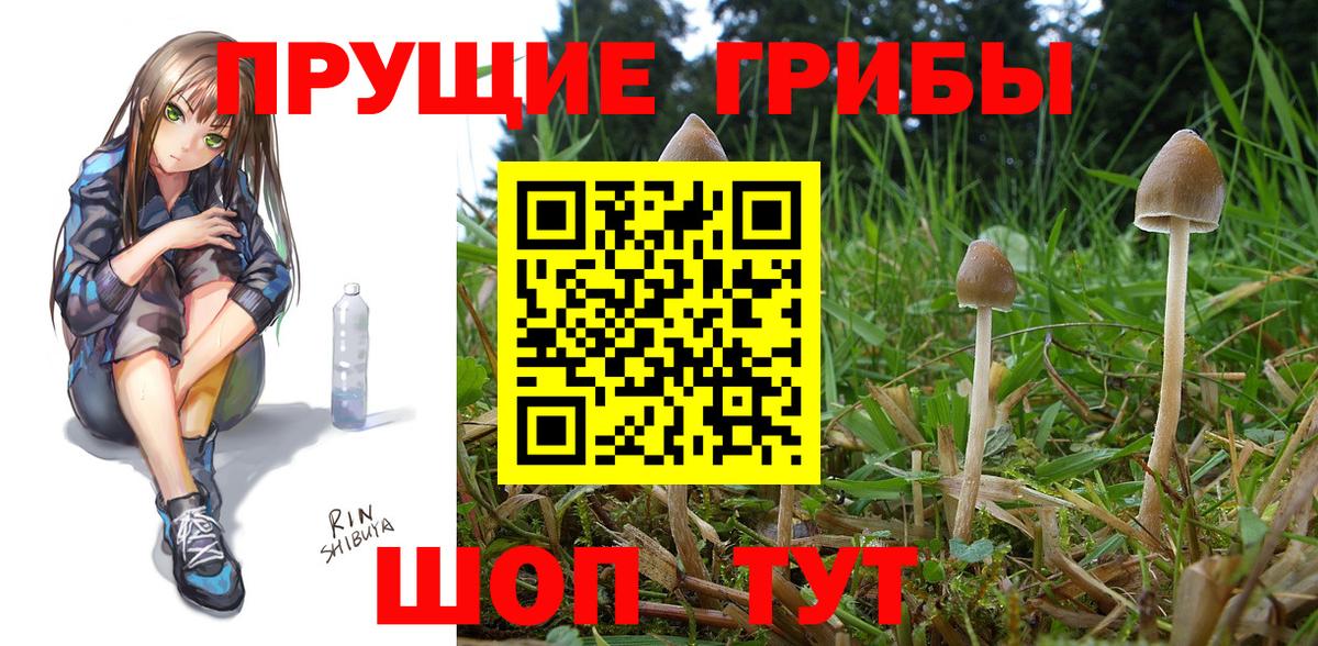 Жигулёвск  Галлюциногенные грибы мицелий  Вход с VPN 